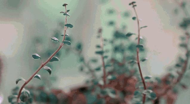 最耗伤身体的10种恶习必须戒掉,这10大耗伤阳气的恶习要戒掉