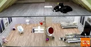 是时候公开我最嫉妒的这30万人了