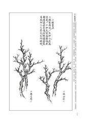 学习中国画的基础是什么,学中国画入门基础