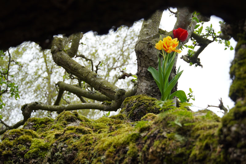 索尼A6400评测体验:自动对焦表现惊人,但也有不少缺点!