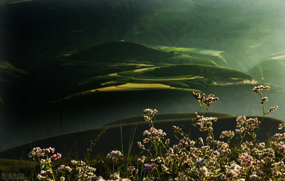 涔旀櫀鏁欐巿璁插骇,涔旀櫀