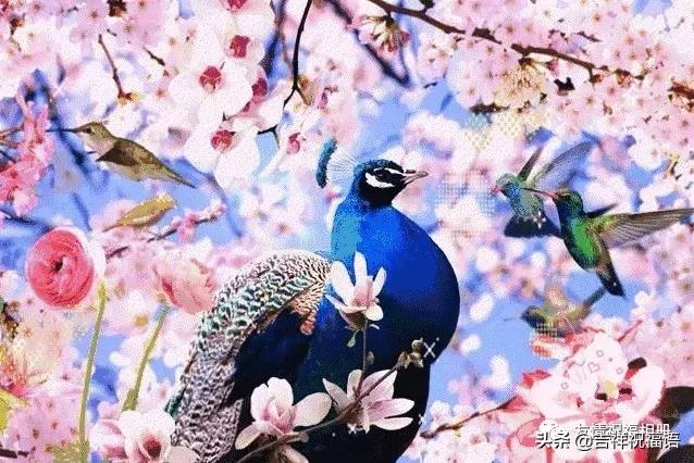 短短几字句句戳心,写得好的经典的句子