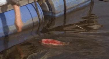 金基德评分最高的电影,金基德的电影为什么那么感人