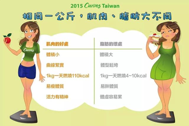 肌肉能提高基础代谢吗,如何提高基础代谢女生