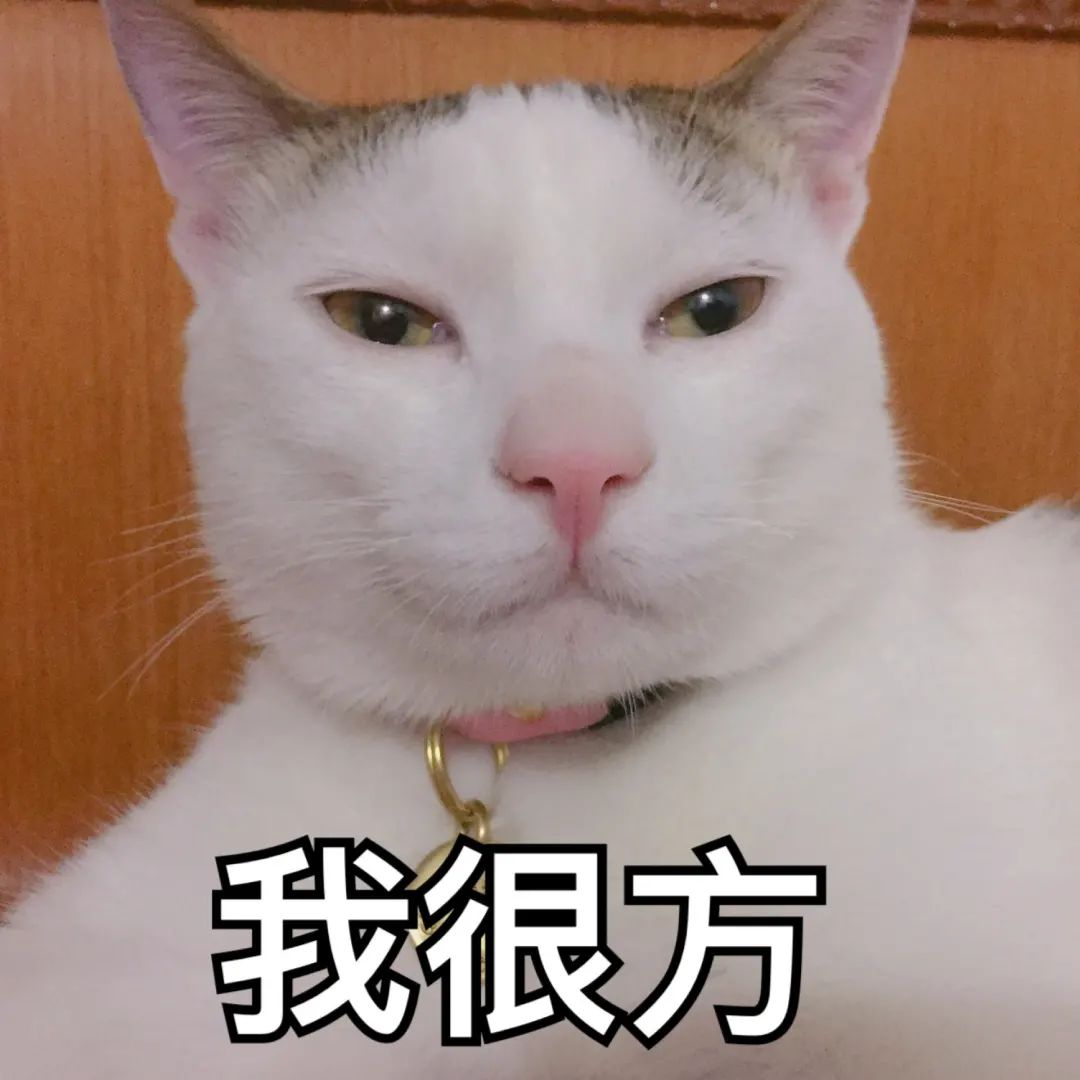 迪拜填海烂尾工程恢复了吗,迪拜旋转大厦建造图