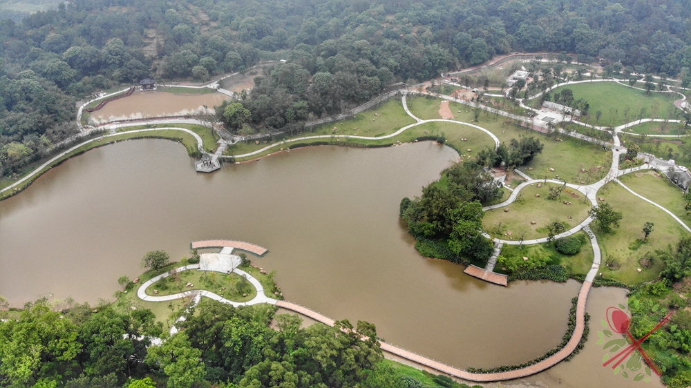 云浮国恩寺一日游,云浮国恩寺附近攻略