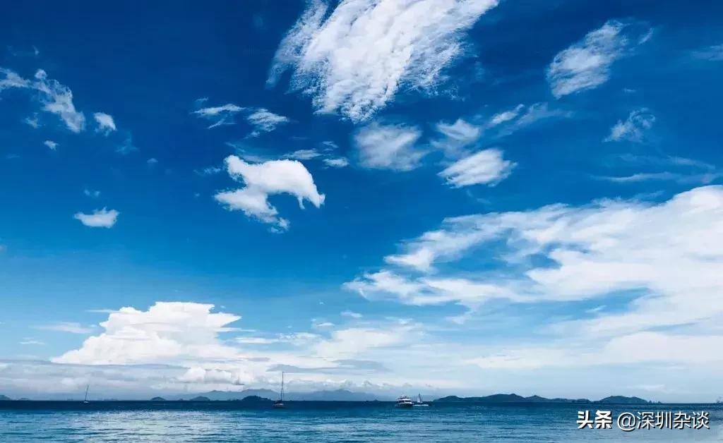 深圳杨梅坑溪谷,深圳最美溪谷杨梅坑