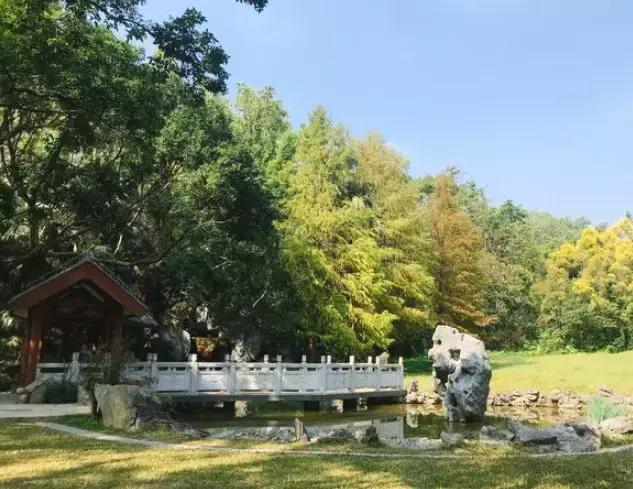 福田花卉世界最新规划,福田花卉世界新址