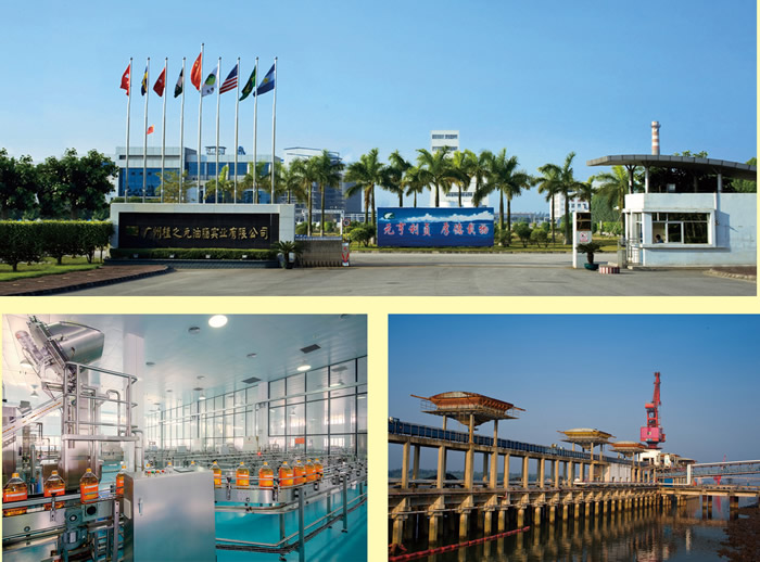 东凌粮油加盟,东凌粮油销售有限公司