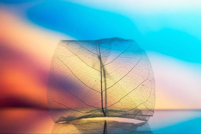 朋友找你借钱不借怎么回答,朋友找你借钱怎么拒绝比较好