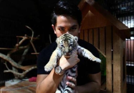 亚洲第一高富帅马丁,亚洲第一高富帅