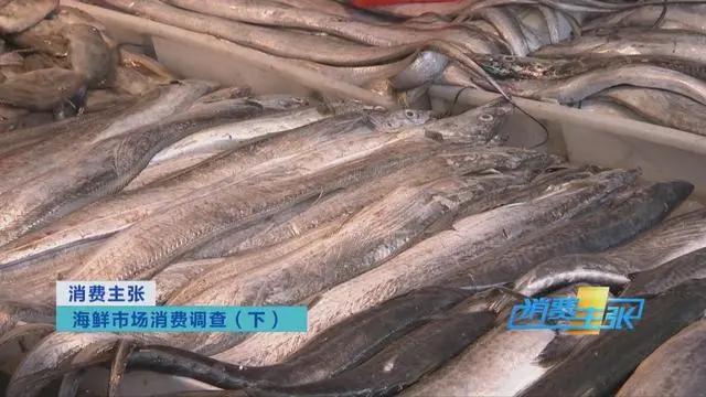 三亚海鲜市场皮皮虾多少钱一斤,海鲜市场上的皮皮虾