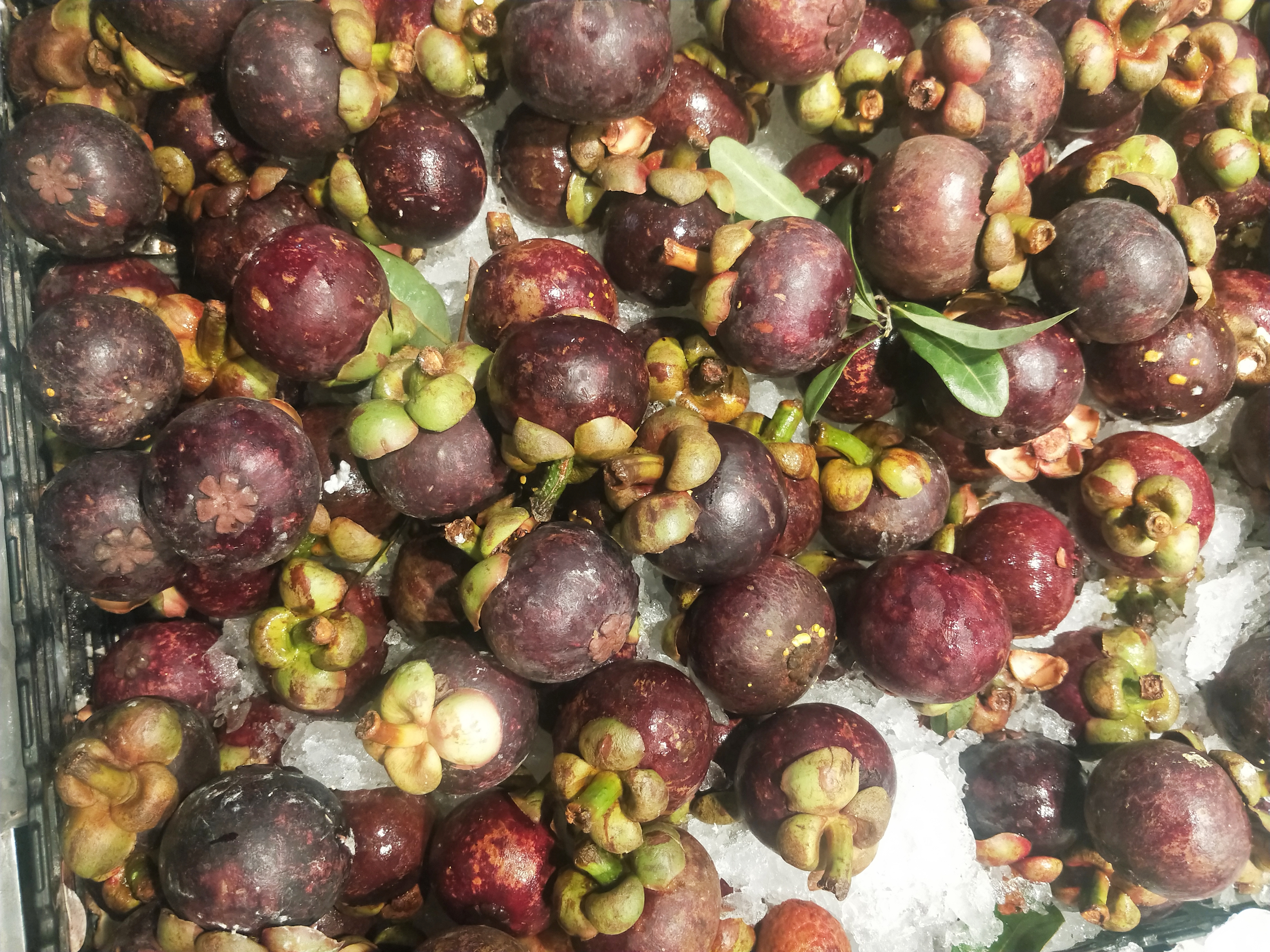 买山竹怎样选才肉多皮薄核还小,山竹怎么选硬的还是软的