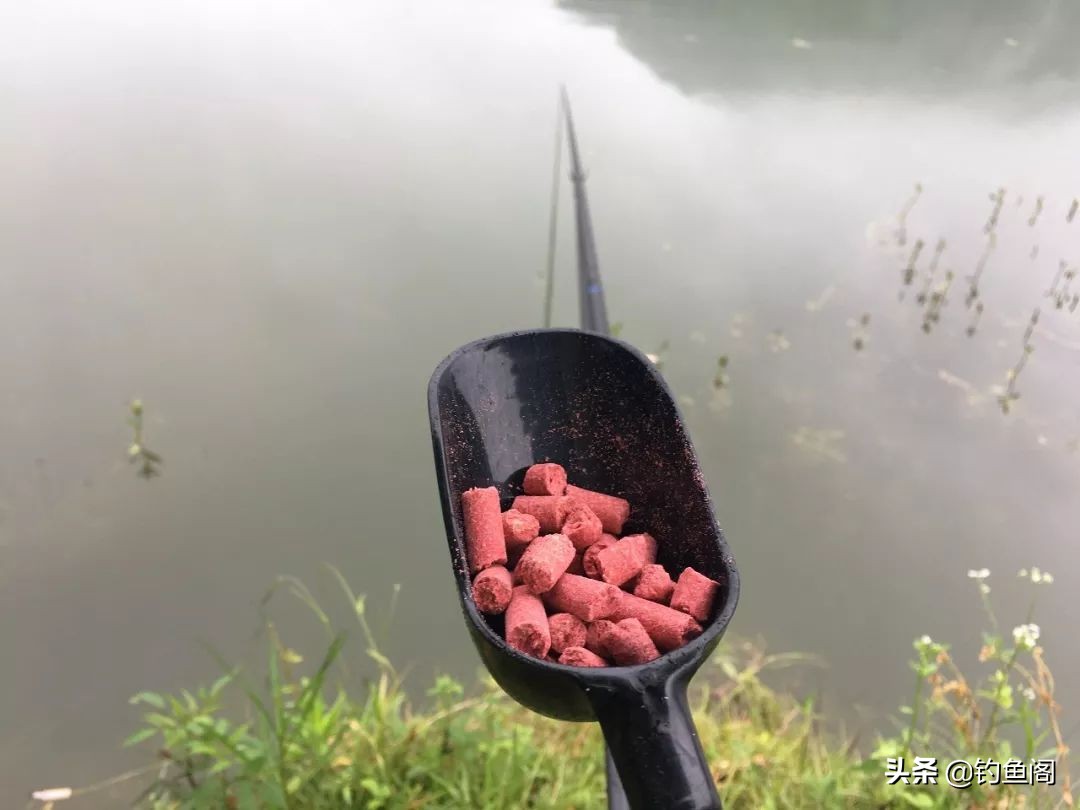 不到2米的水深怎么钓鲤鱼,中间水深但是够不到怎么钓大鱼