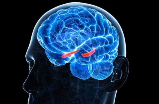 安徽一男子骑车不减速被轿车撞飞,男子开车被陨石砸中