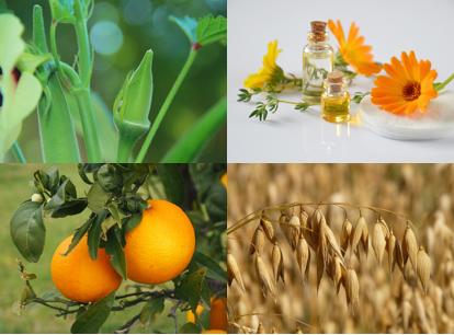 日本花印水漾护肤品怎么样,花印温泉的护肤品怎么样