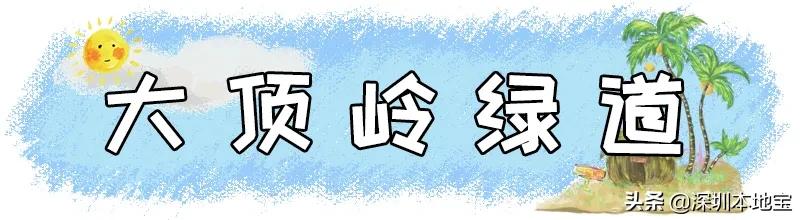 深圳免费的景点有哪些地方,深圳有哪些免费又好玩的地方景点