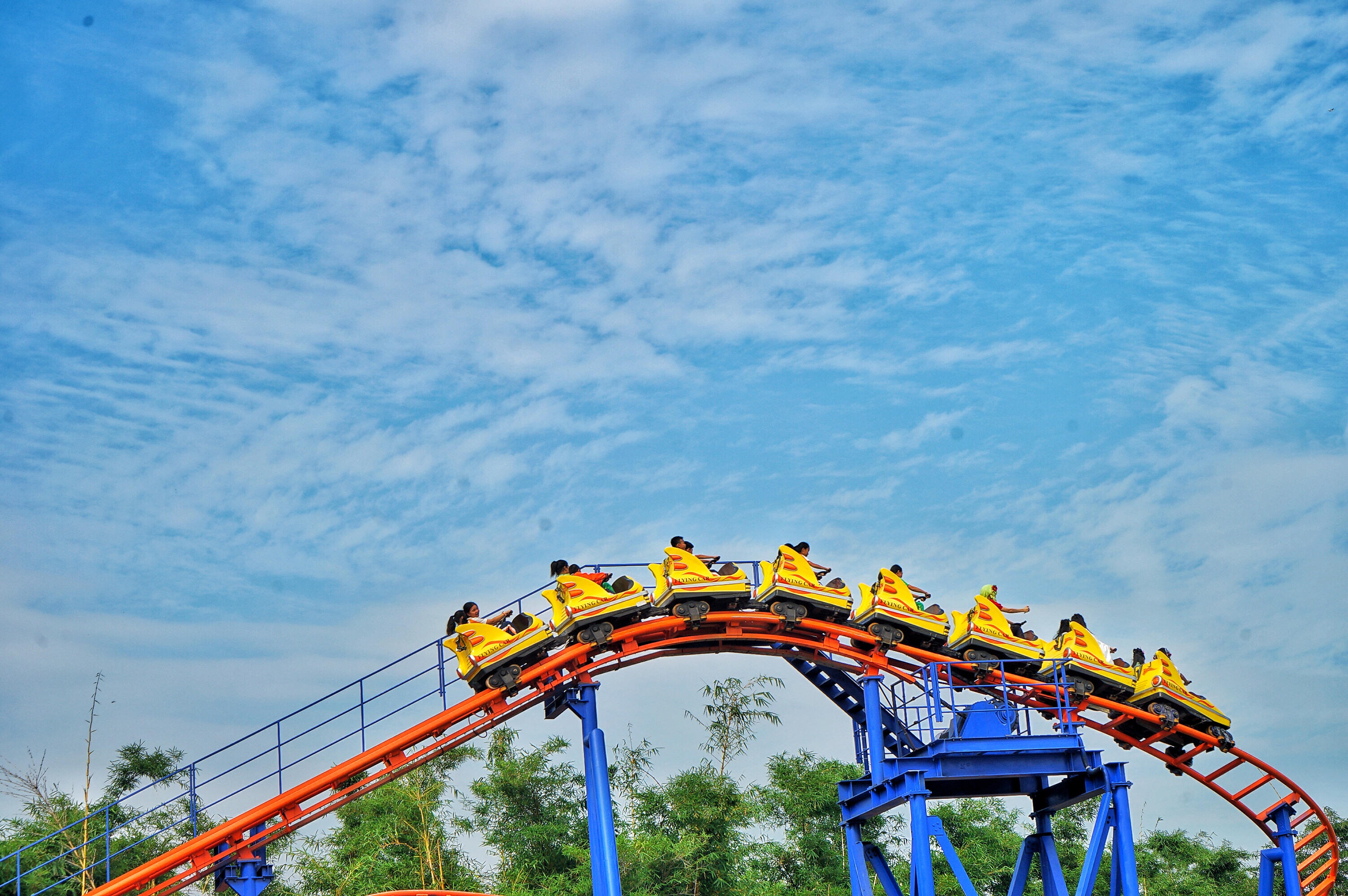 广州粉色浪漫花海,广东秋天粉色花海