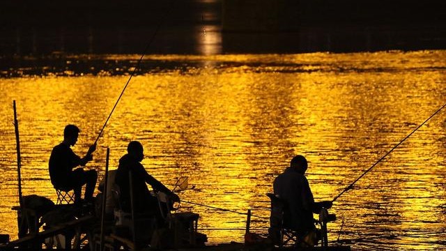 野钓大鱼的5个“专属”技巧,专钓大鱼的方法和技巧