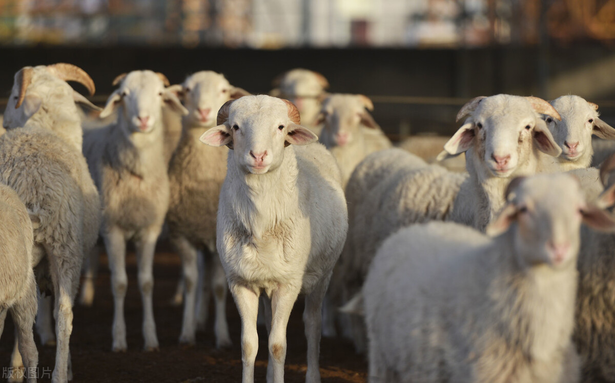 江苏快报：连云港市“58项”获批项目，精准发布，为你开启商机