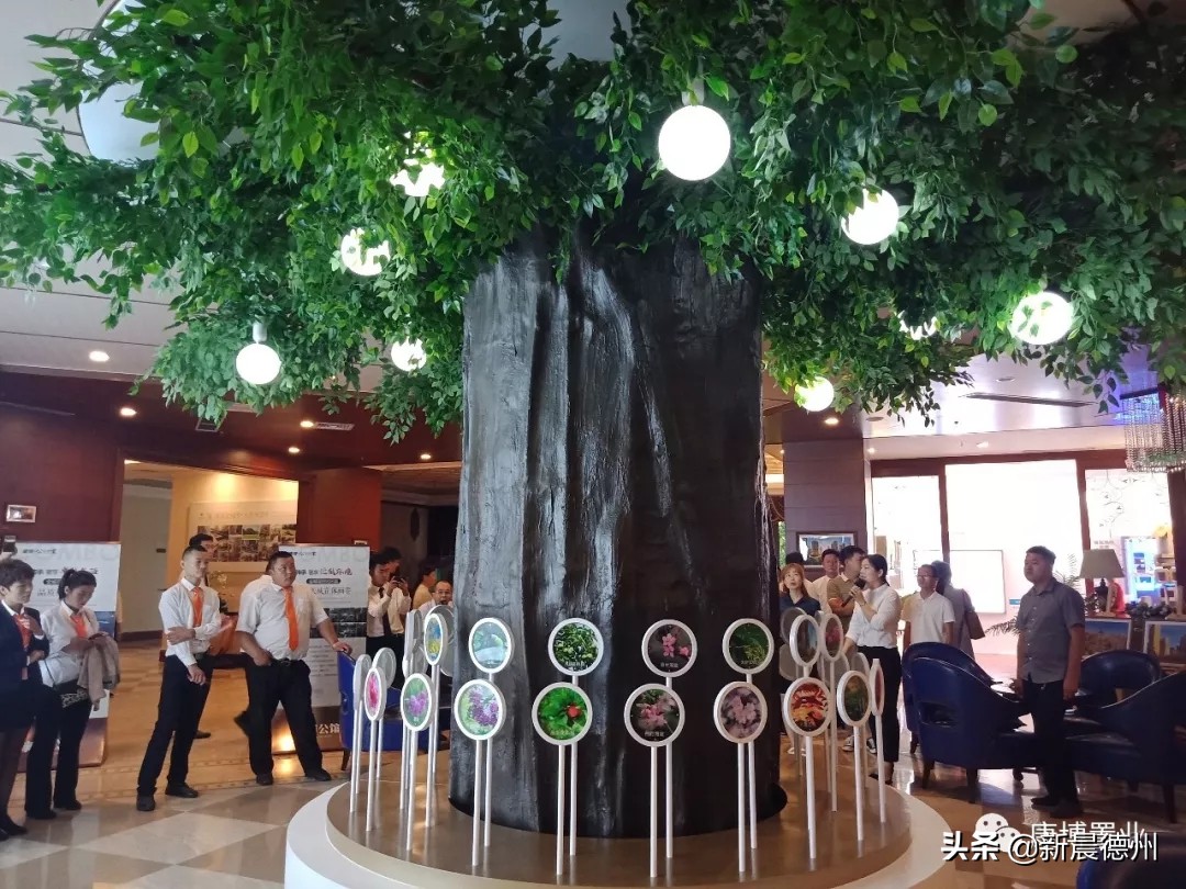 精工匠筑悦鉴美好——康博公馆科技工法区华美绽放