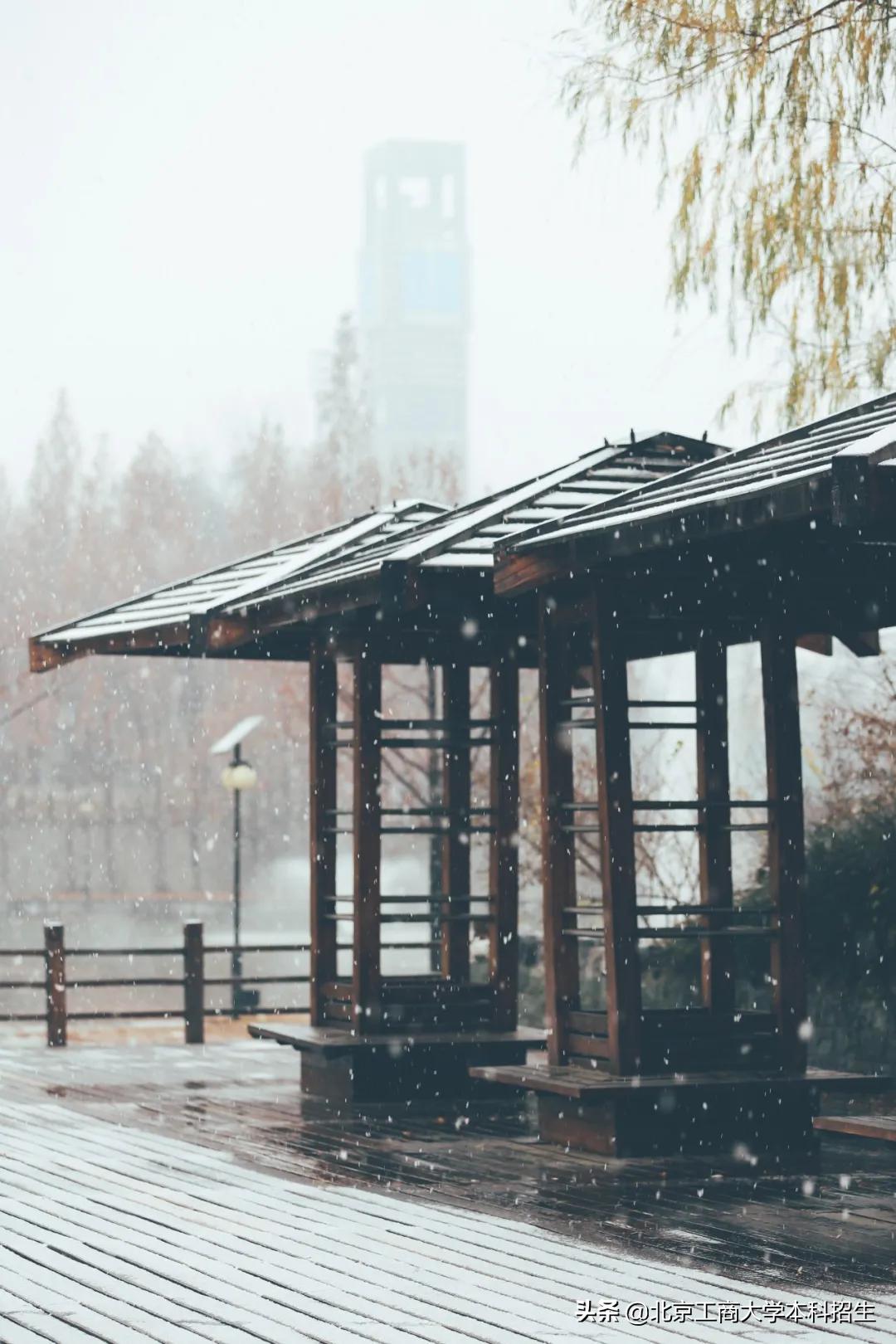 北京大学高颜值学霸,中国十大景色最美的大学