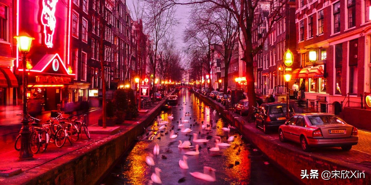 *灯区红**、*麻大**合法的荷兰真的是世界上最开放的国家么？