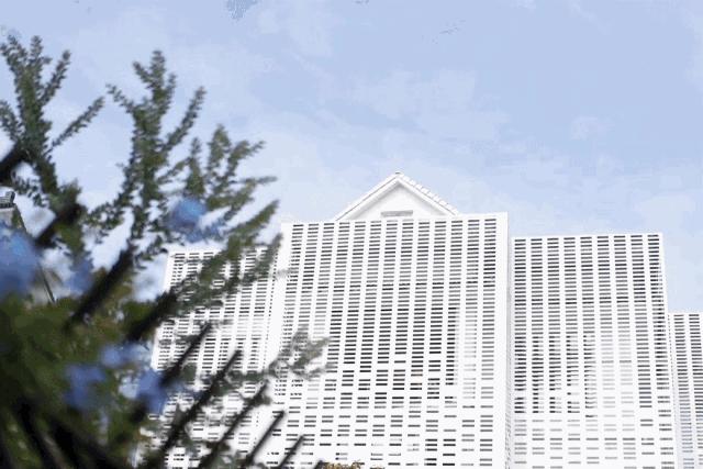 杭州原研斋茶园民宿,杭州茶园民宿推荐