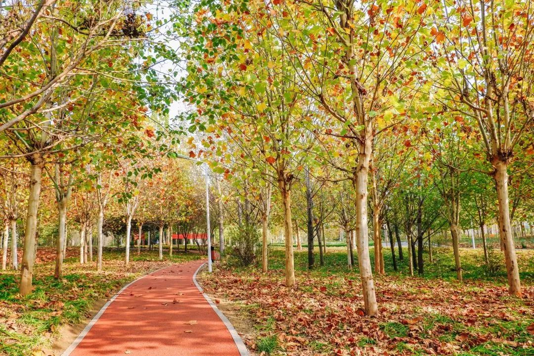 郑州今年还会升温吗,郑州今年会更火吗