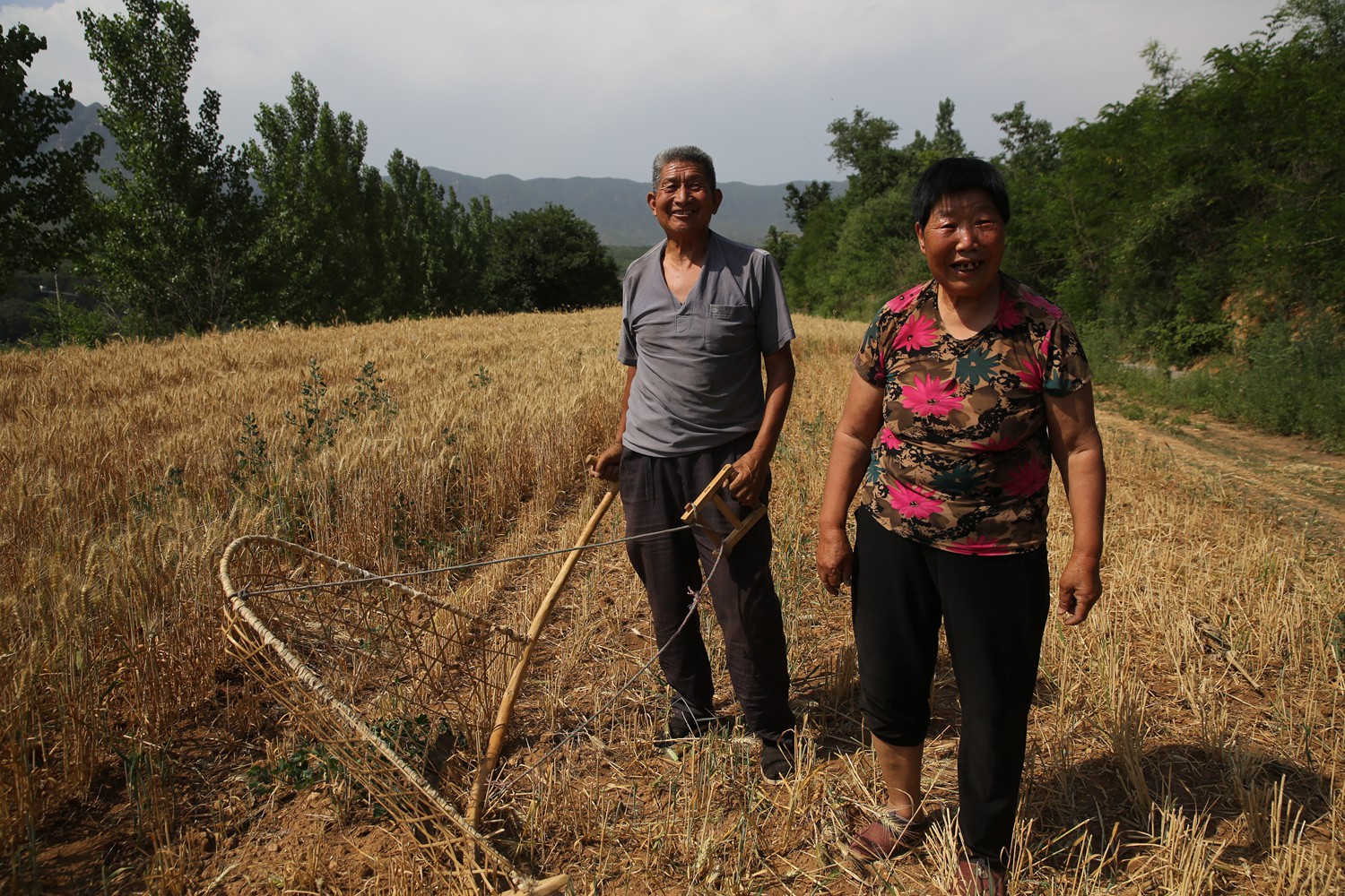 割麦神器大全视频,农民割麦用什么神器