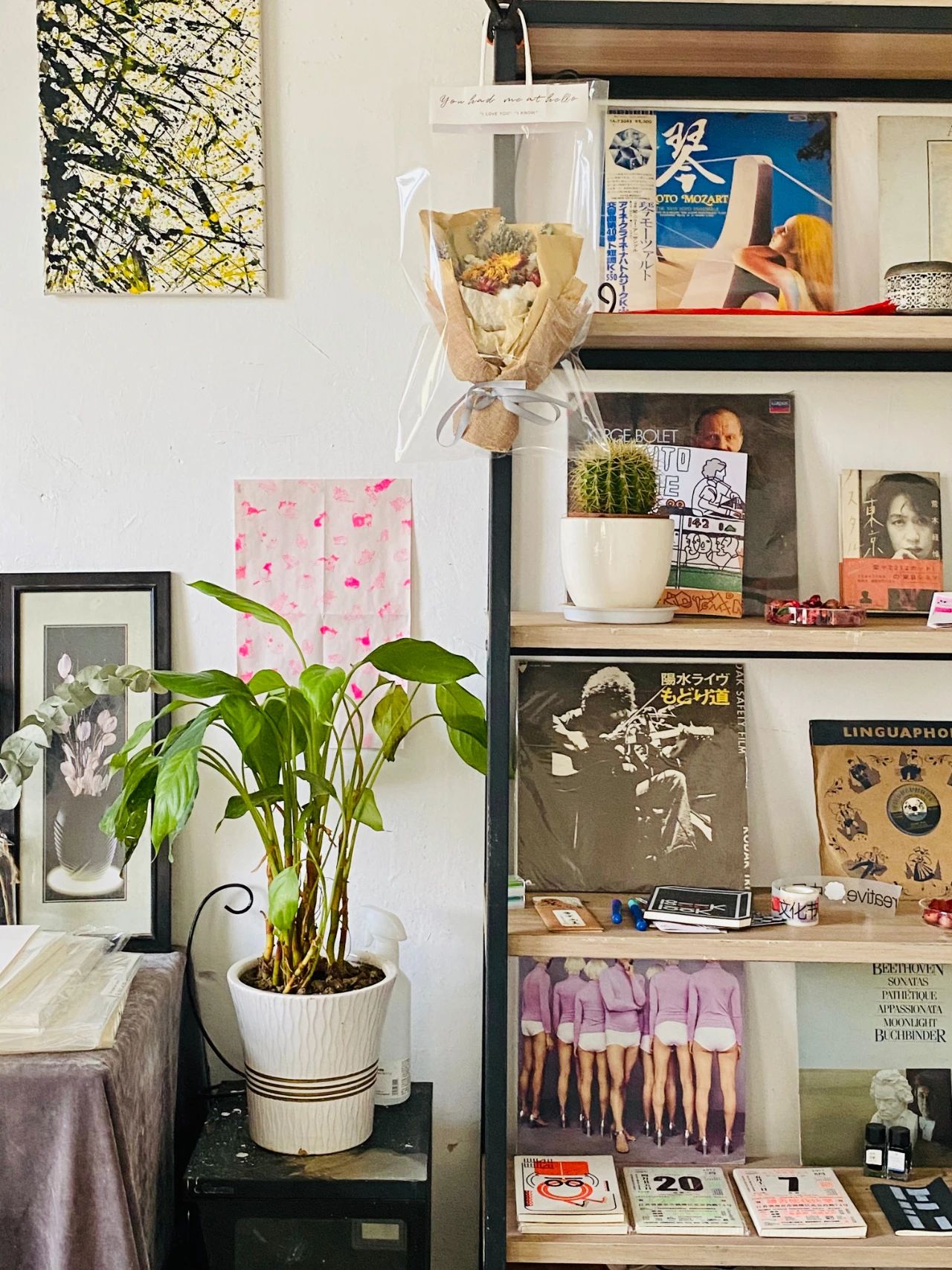 辞职创业开服装工作室,辞职创业开家居店