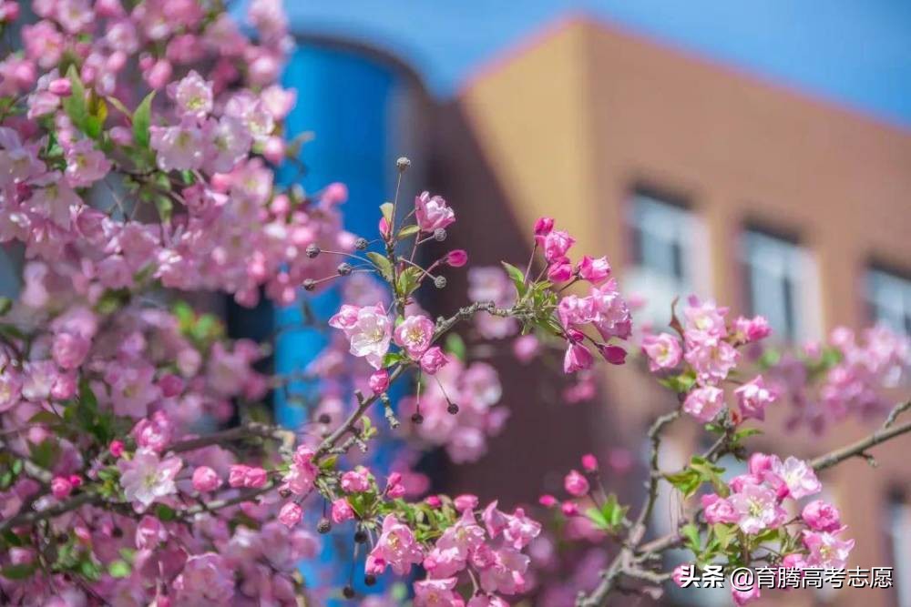 北京第二外国语学院好吗,北京市第二外国语学校好不好