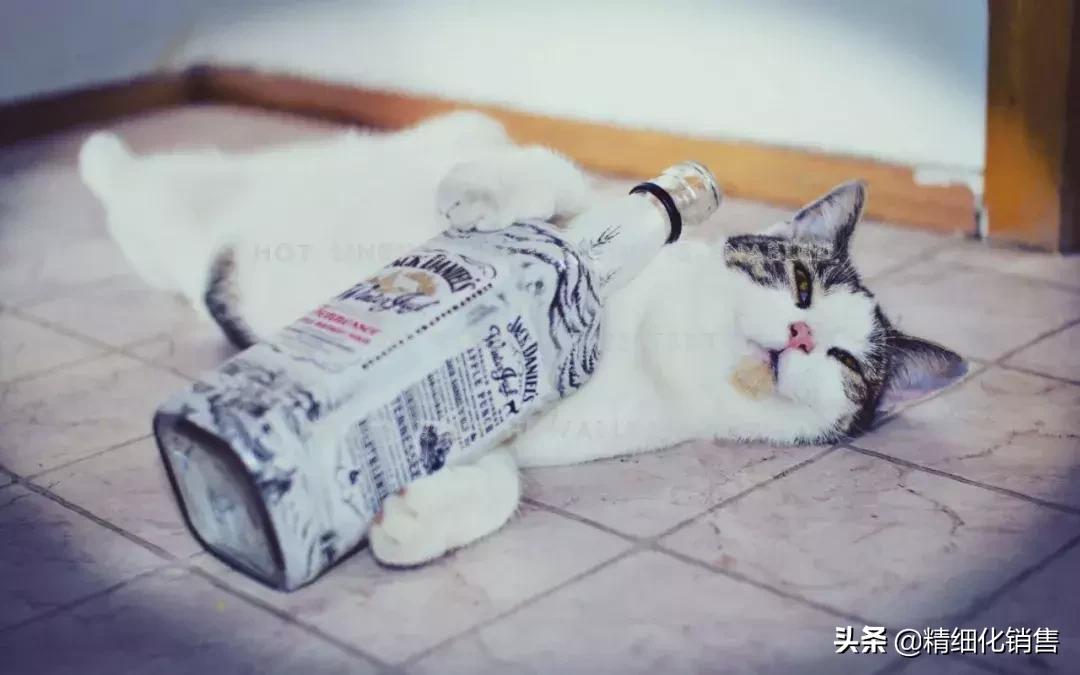 做销售一定要喝酒吗?|关于销售与喝酒的3个问题及6个解决方法