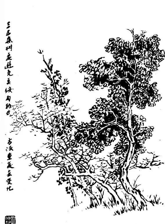 树的画法与表现技巧,树简单素描画