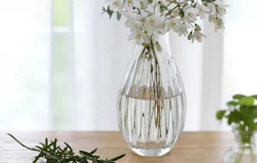 汤臣倍健婴童,汤臣倍健营养产业