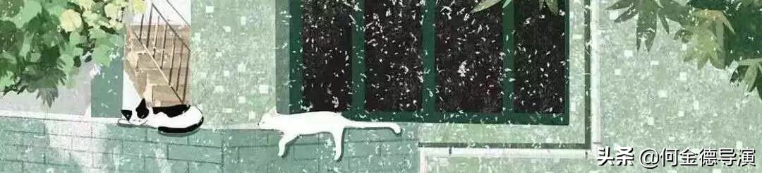 一位女大学生的家教心得：《我的家教之路与一些小建议》