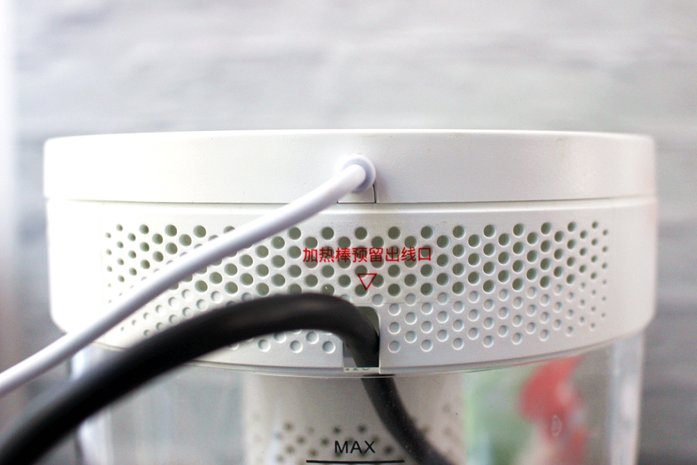 养鱼日记森森鱼缸,水族箱造景养鱼日记