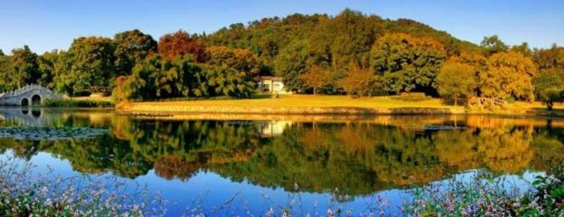 江阳区景点,元江有哪些旅游景点免费