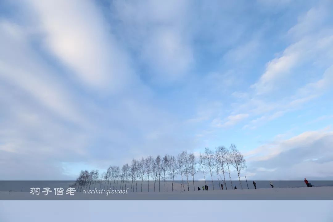 老实说,这一趟北海道就是为了拍好看的照片去的