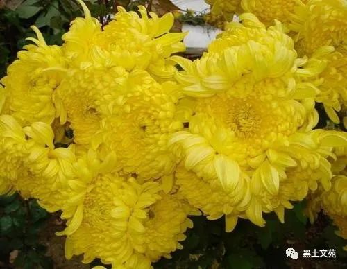 我害怕这轻薄的纸笔无法承载我厚重的思念……