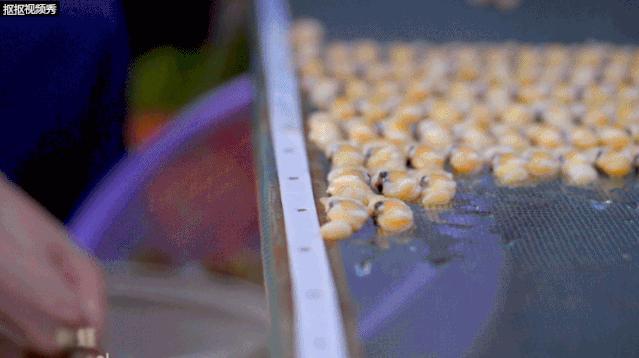 爱上福州的101个理由,爱上福建的理由