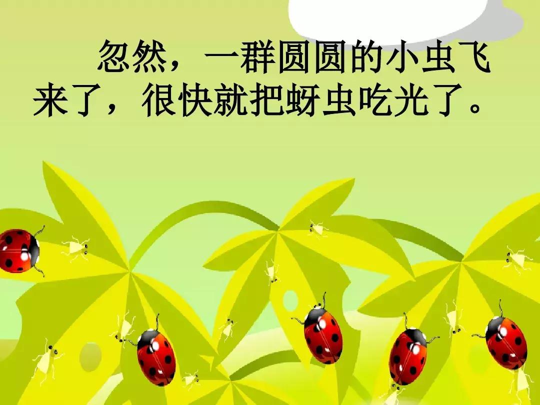 一年级下册语文19课棉花姑娘,一年级棉花姑娘课文笔记