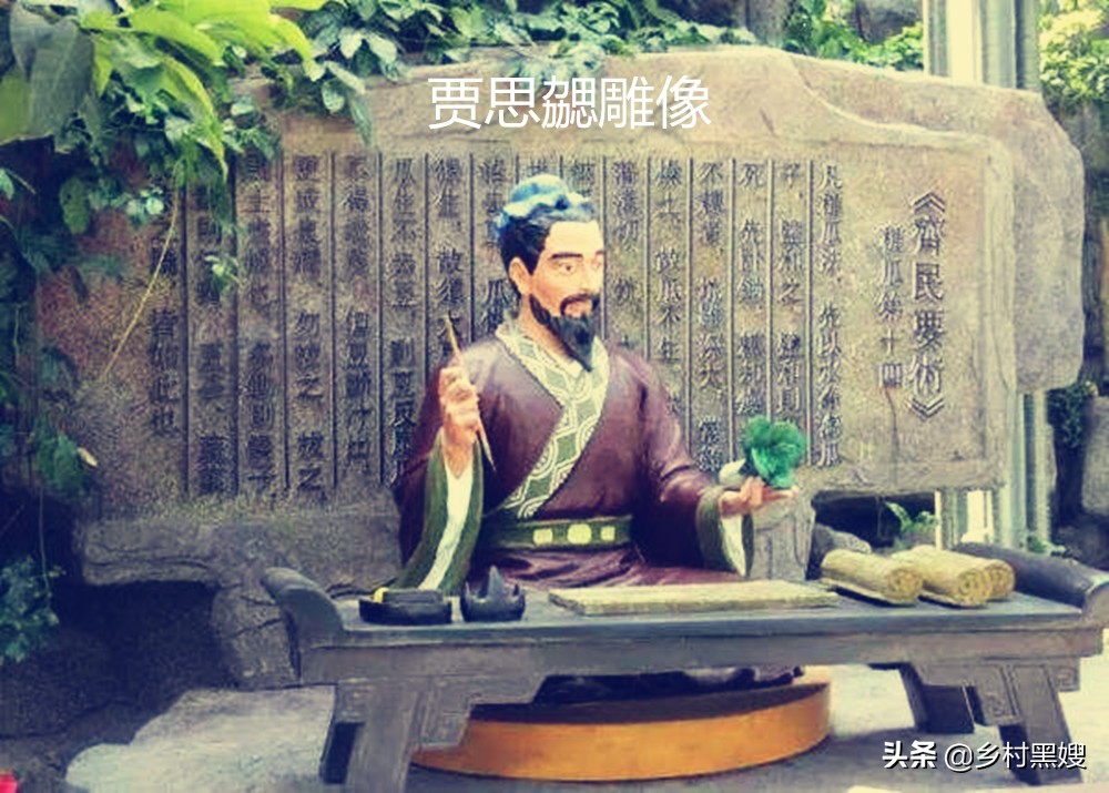 北魏末年贾思勰写的齐民要术总结,齐民要术的作者