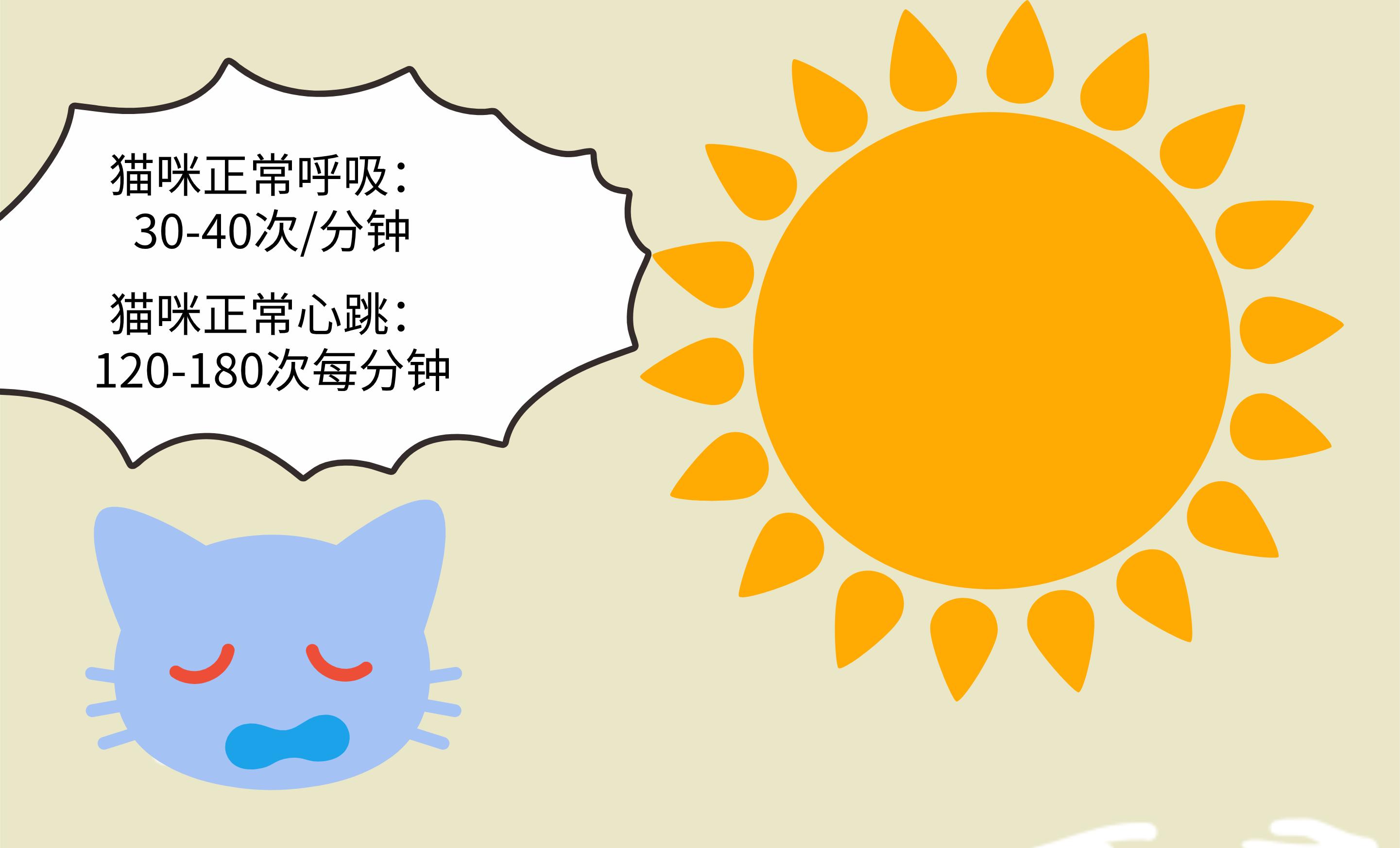 猫咪怕热怕冷是什么原因,怕热猫咪怎么过夏天