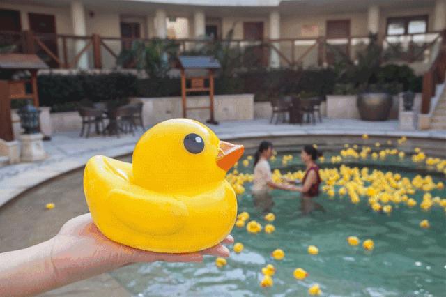 没有孵过混堂的上海冬天，是不完整的！