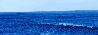 你对海洋了解多少个视频,你对海洋馆了解多少