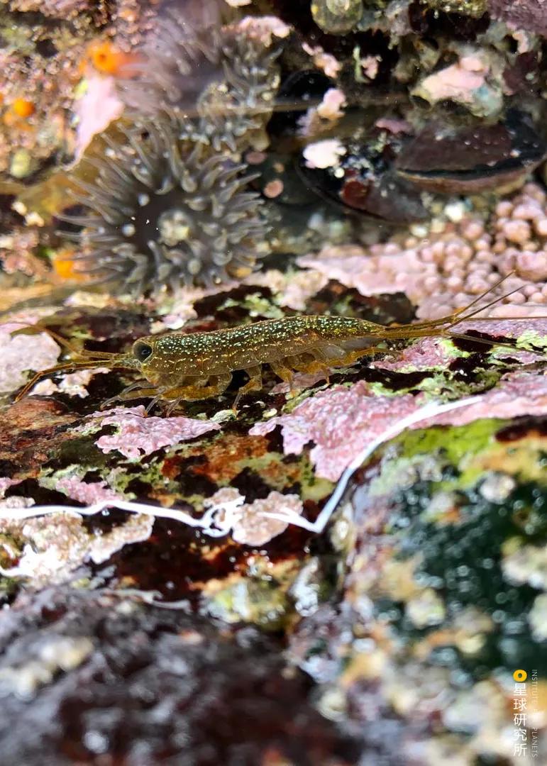 平潭在哪里租车,平潭在哪里哪个城市