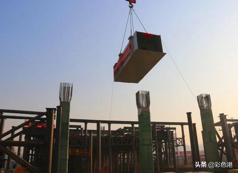 晚报记者去年拍了哪些好照片？今天晒最后一批金奖