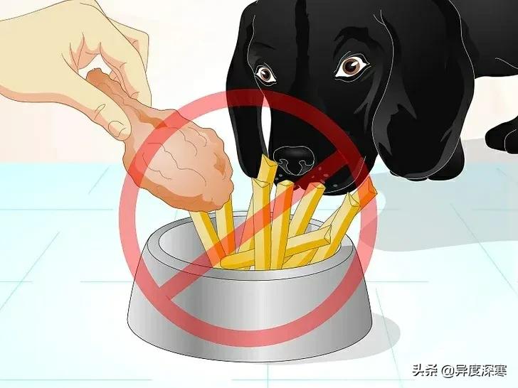 狗狗软便的解决方法,改善狗狗软便最有效的东西