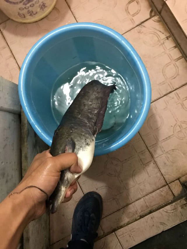 又到钓鲫鱼的季节,冬季钓鲶鱼的最佳时间段